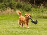20230720-IMG_6564