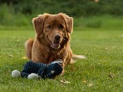 20230720-IMG_6934