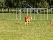 20230801-IMG_8105