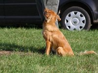 2011-001