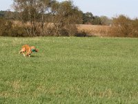2012-001