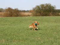 2012-002
