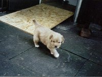 2003-002