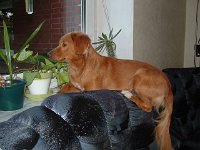 2004-012