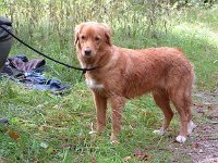 2004-017