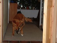 2004-018