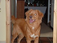 2004-019