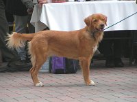 2004-024