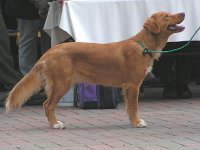 2004-025