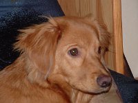 2004-035