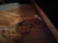 k-IMG 20170330 195617