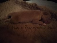 k-IMG 20170330 213439