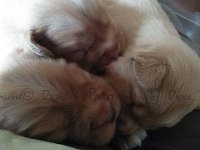 k-IMG 20170417 184102