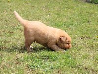 k-IMG-20170501-WA0005