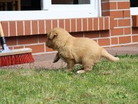 k-IMG-20170501-WA0008
