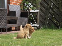 k-IMG-20170501-WA0011