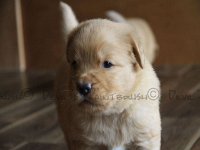 k-IMG-20170501-WA0014