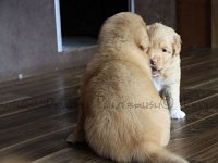 k-IMG-20170501-WA0015