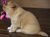 k-IMG-20170501-WA0016