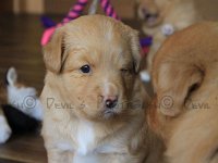 k-IMG-20170501-WA0019