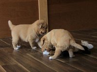 k-IMG-20170501-WA0020