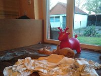 k-IMG 20170426 202401
