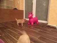 k-IMG 20170426 203522