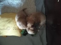k-IMG 20170427 194709
