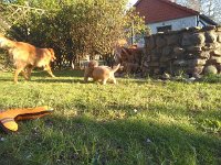 k-IMG 20170430 191954
