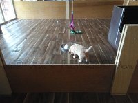 k-IMG 20170501 085820