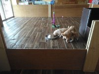 k-IMG 20170501 085833