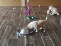 k-IMG 20170501 085839