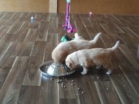 k-IMG 20170501 085901