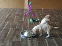 k-IMG 20170501 085921