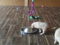 k-IMG 20170501 085954