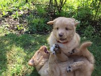 IMG-20170513-WA0002