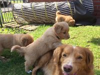 IMG-20170513-WA0003