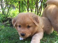 IMG-20170513-WA0005