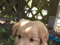 IMG-20170513-WA0007