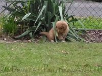 k-IMG 20170510 135301