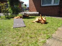 k-IMG 20170511 140225