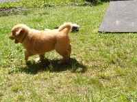 k-IMG 20170511 140615