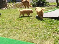 k-IMG 20170511 140618