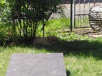 k-IMG 20170511 140840