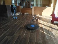 k-IMG 20170511 165703