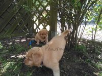 k-IMG 20170515 143724
