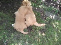 k-IMG 20170515 143735