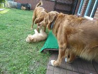 k-IMG 20170515 184227