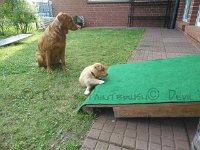 k-IMG 20170515 184239