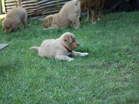 k-IMG 4998